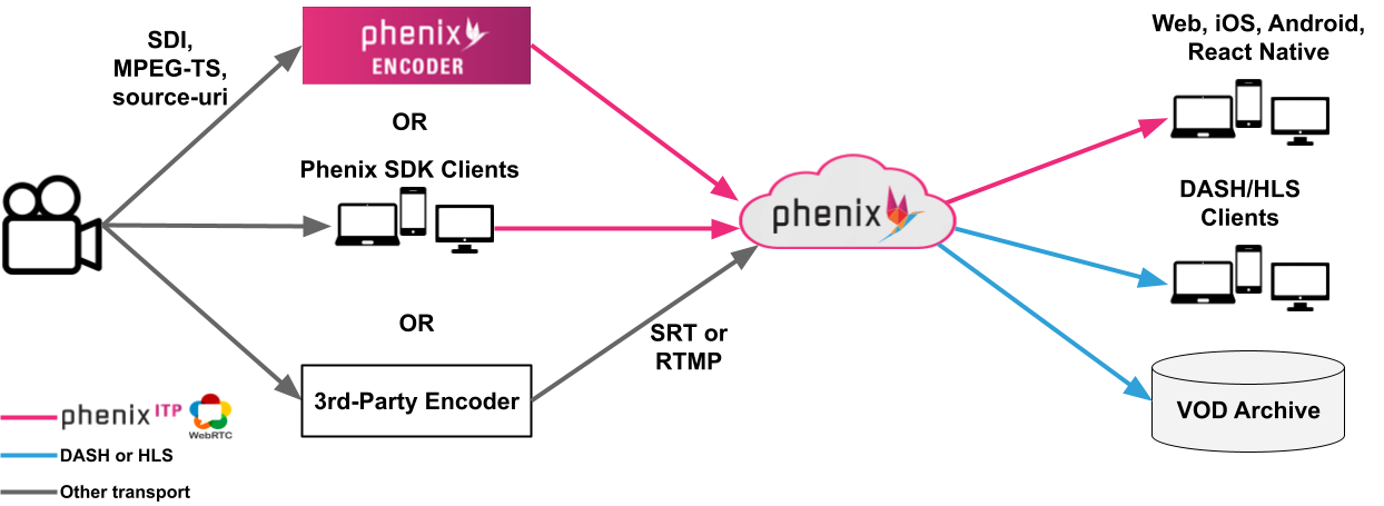 Ingest and Delivery Options